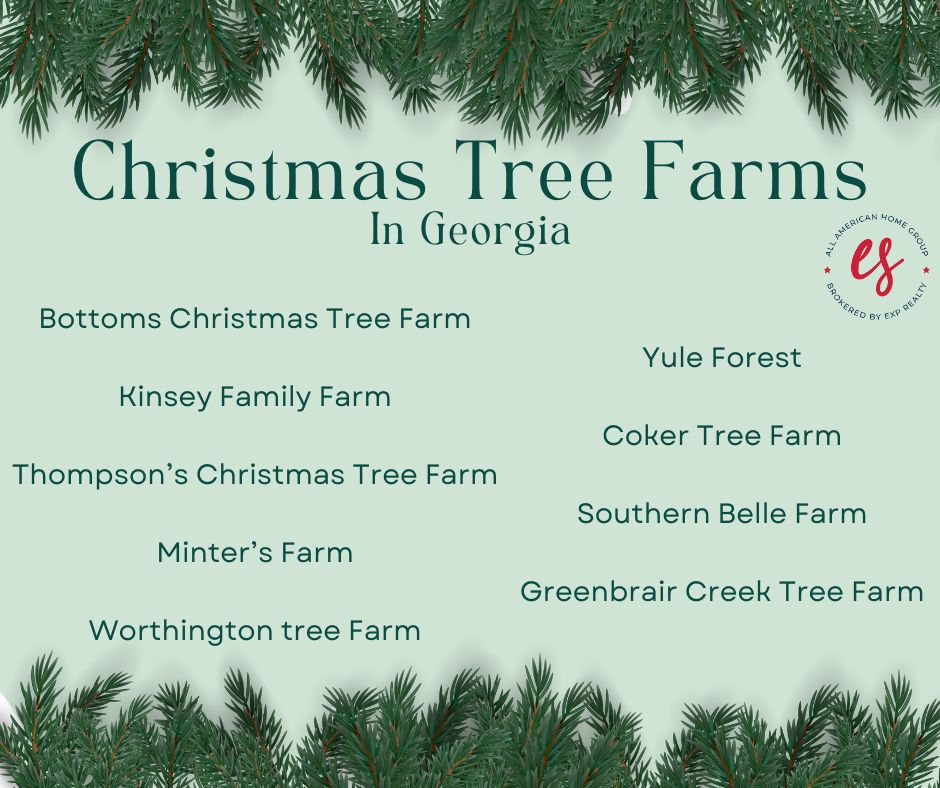Christmas Trees in Christmas Tree farms in Tree